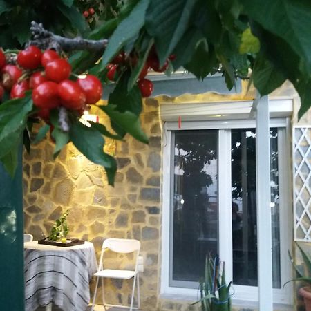 카발라 Garden'S House 아파트 외부 사진