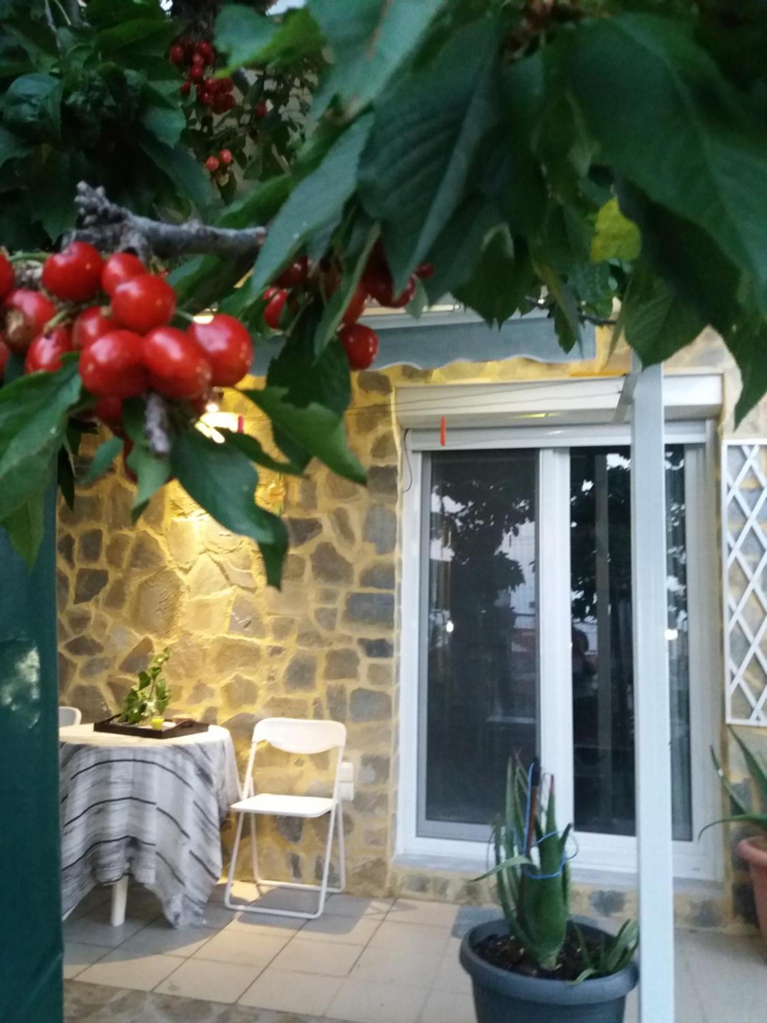 카발라 Garden'S House 아파트 외부 사진
